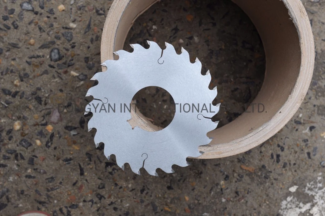 Tct Multi-Ripping Saw Blade with Rakes